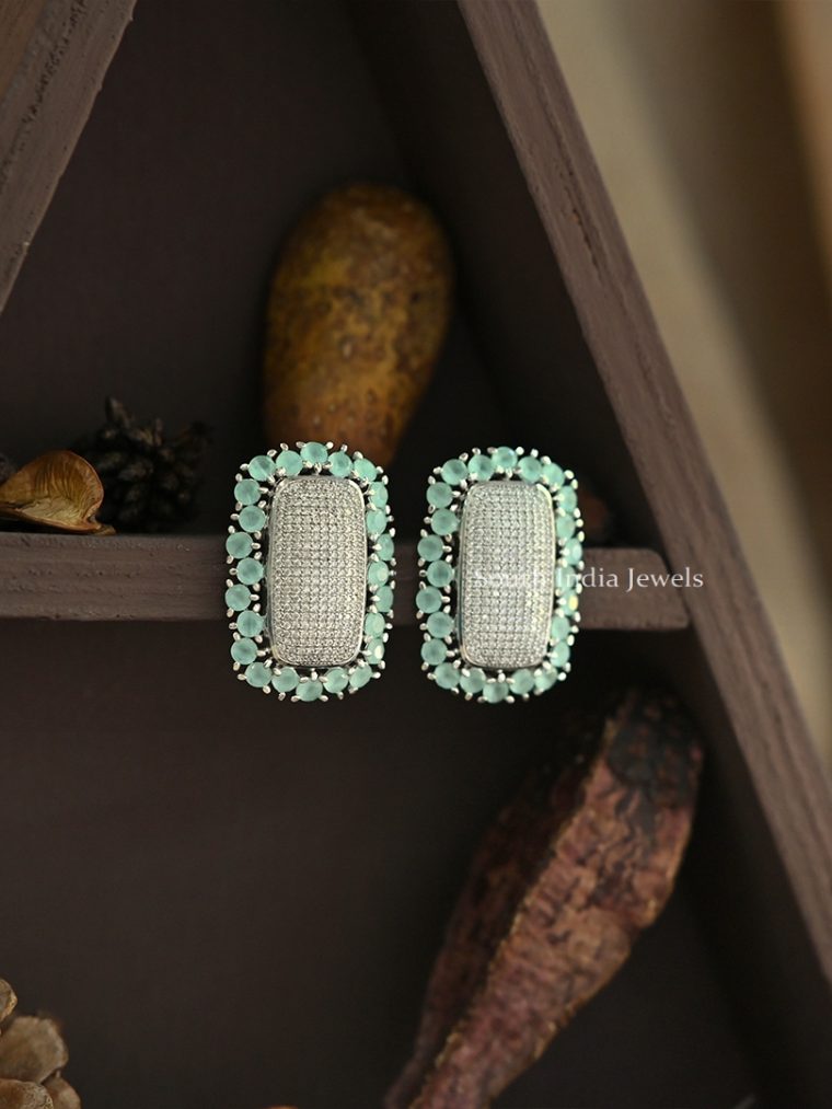 Stunning Diamond Studded Earrings